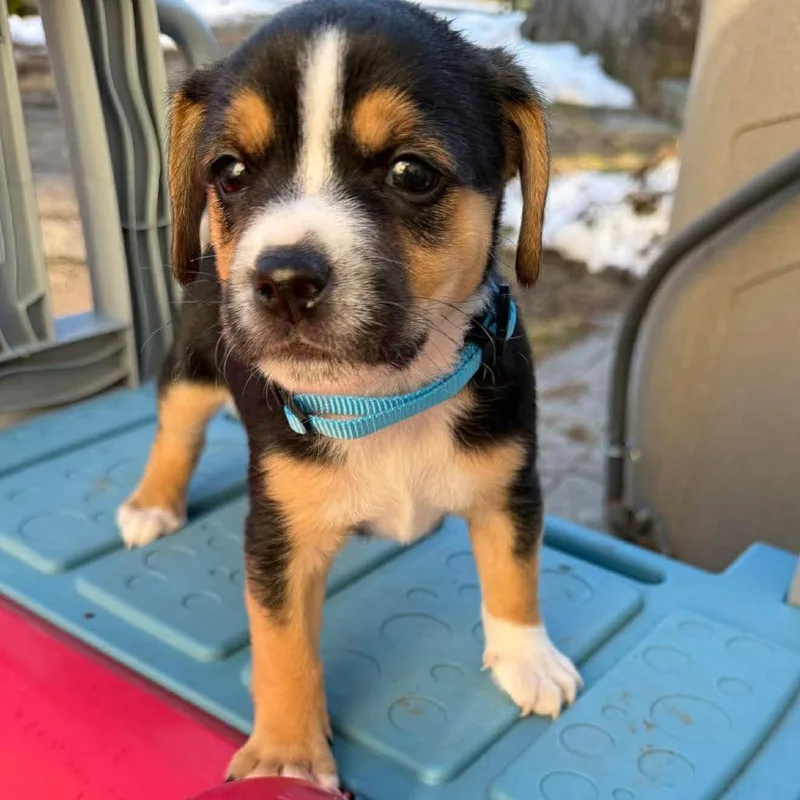 Ct Drift Avail Mar thumbnail 3