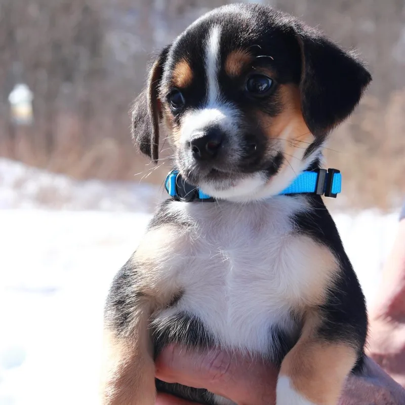 Ct Drift Avail Mar thumbnail 4