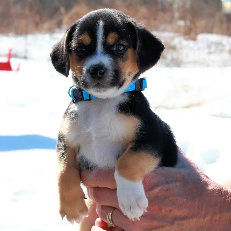 Ct Drift Avail Mar thumbnail 5