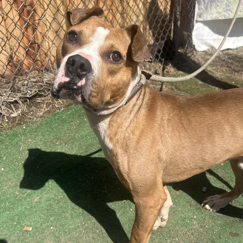 Leonardo Dicaprio thumbnail 6