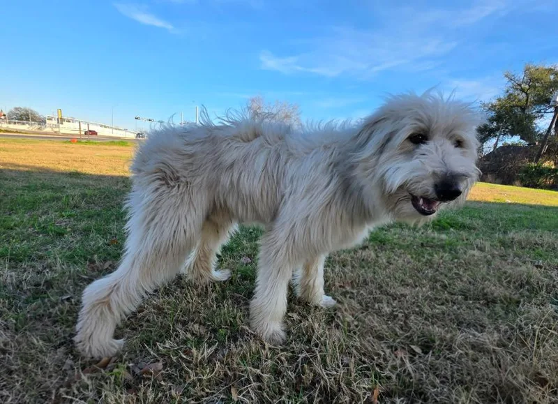 Shiloh