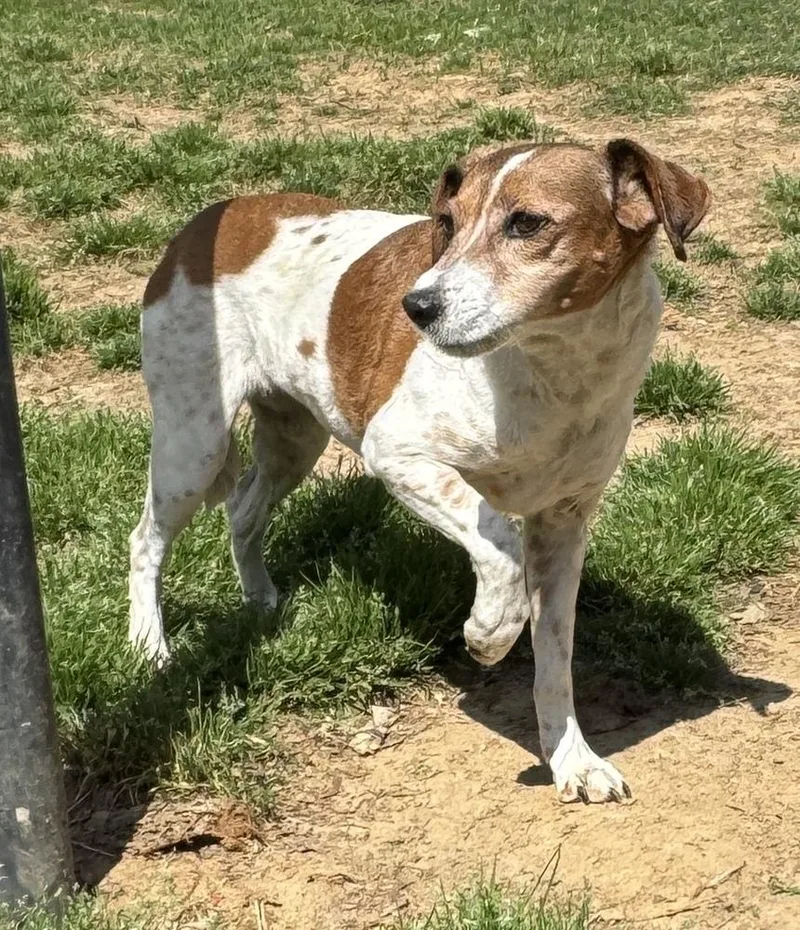 Liza Jean thumbnail 2