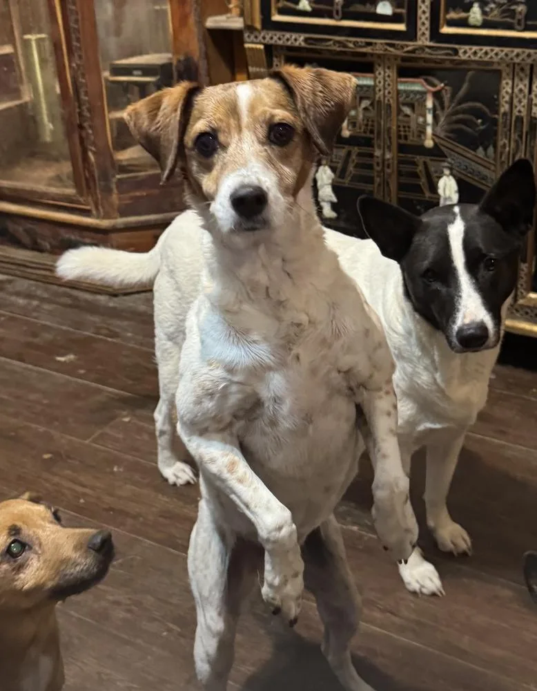 Liza Jean thumbnail 3