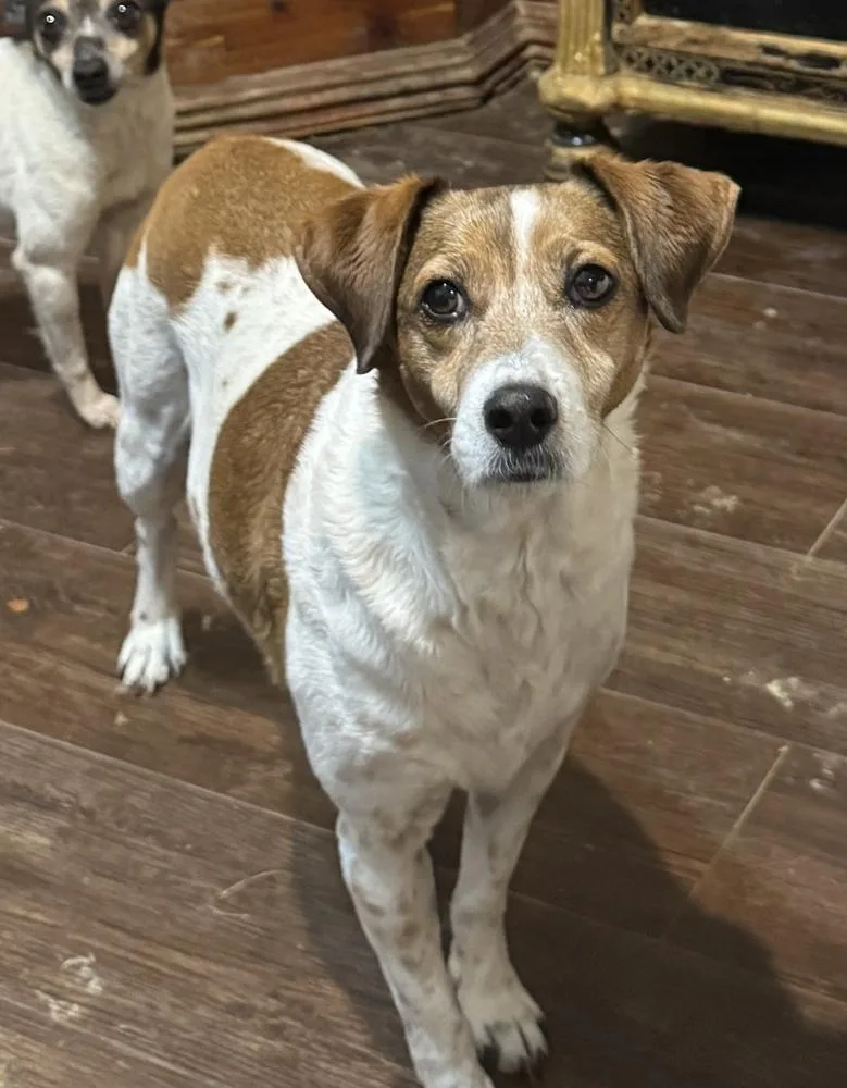 Liza Jean thumbnail 4