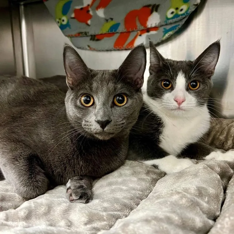 Michaela thumbnail 2