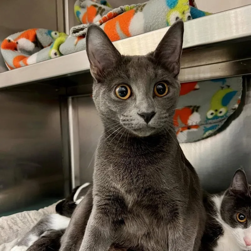 Michaela thumbnail 3