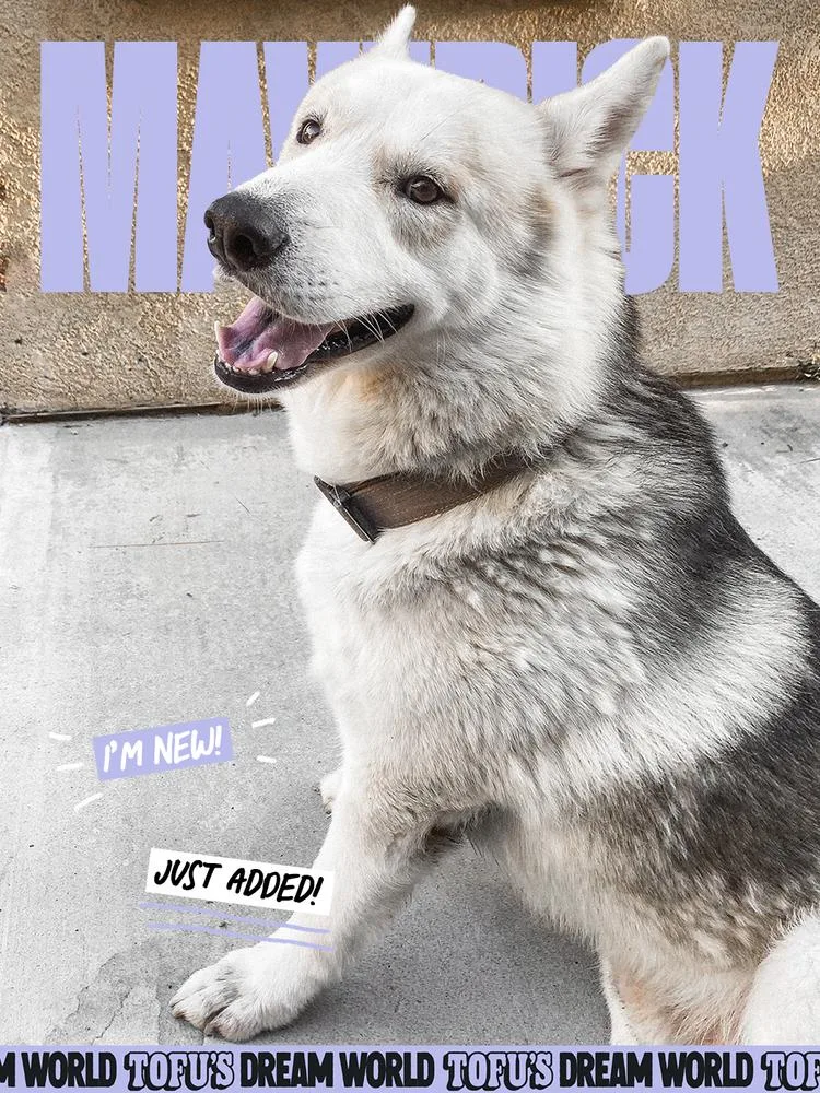 Maverick thumbnail 3