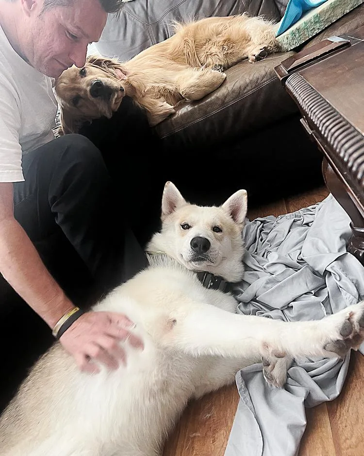 Maverick thumbnail 5