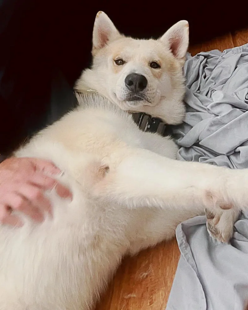 Maverick thumbnail 6