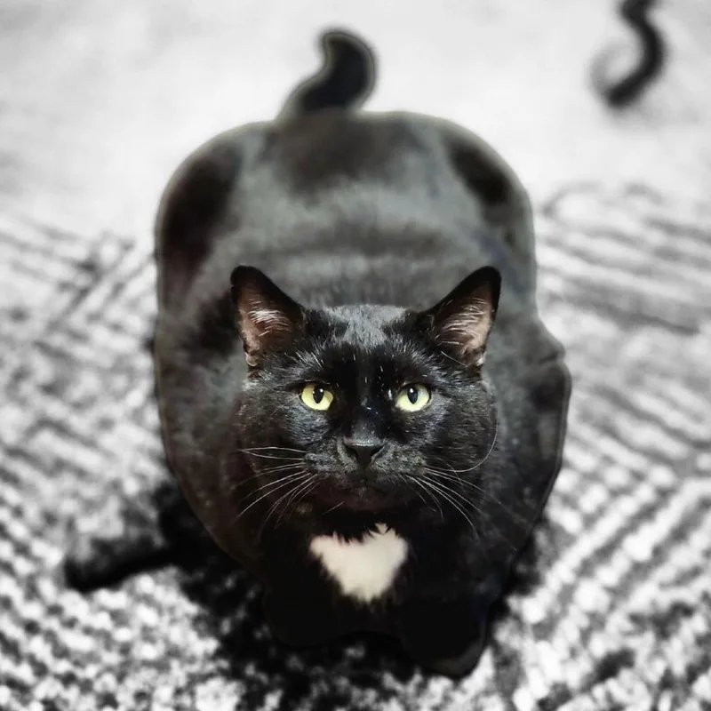 Moe Szyslak thumbnail 3