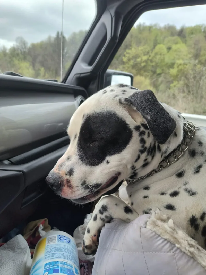 Scottyfairmont  Wv thumbnail 3