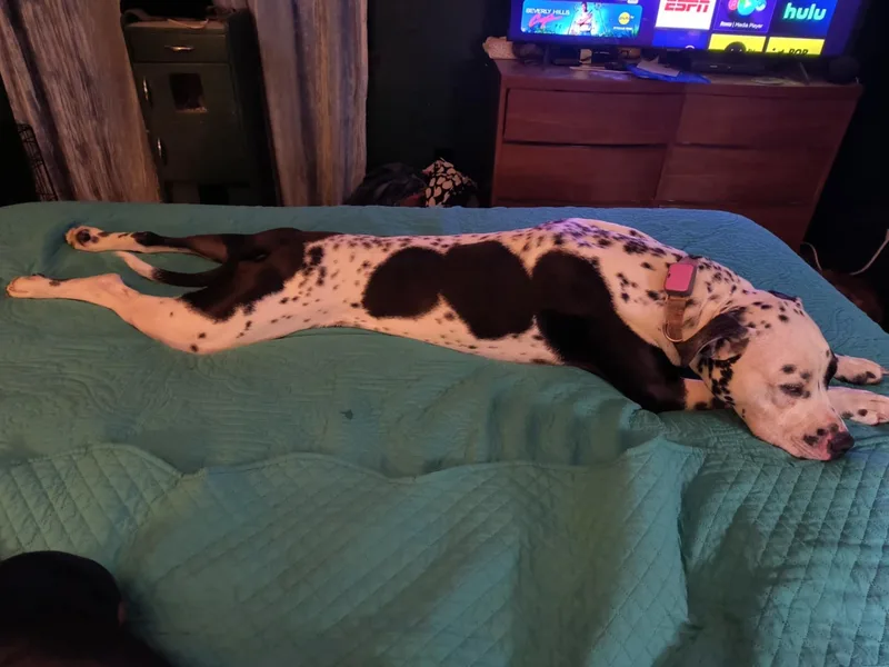 Scottyfairmont  Wv thumbnail 5