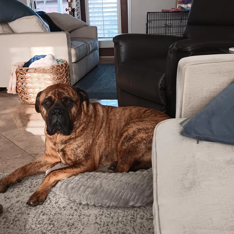 Waylon Tn thumbnail 2