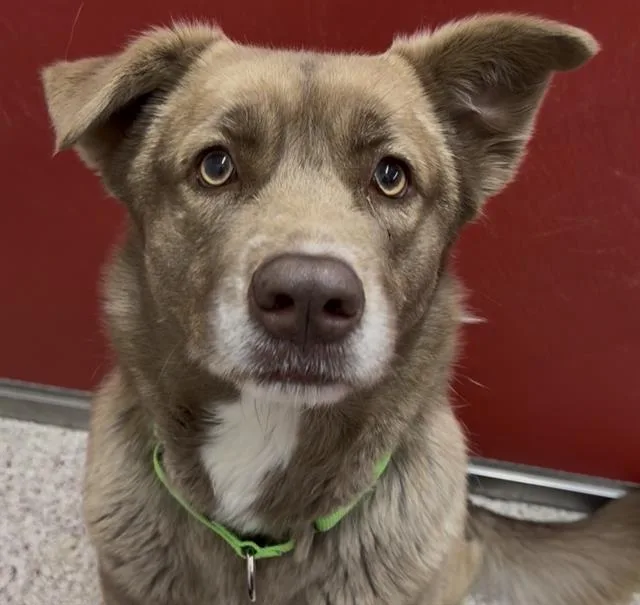 Fairy Tail thumbnail 2