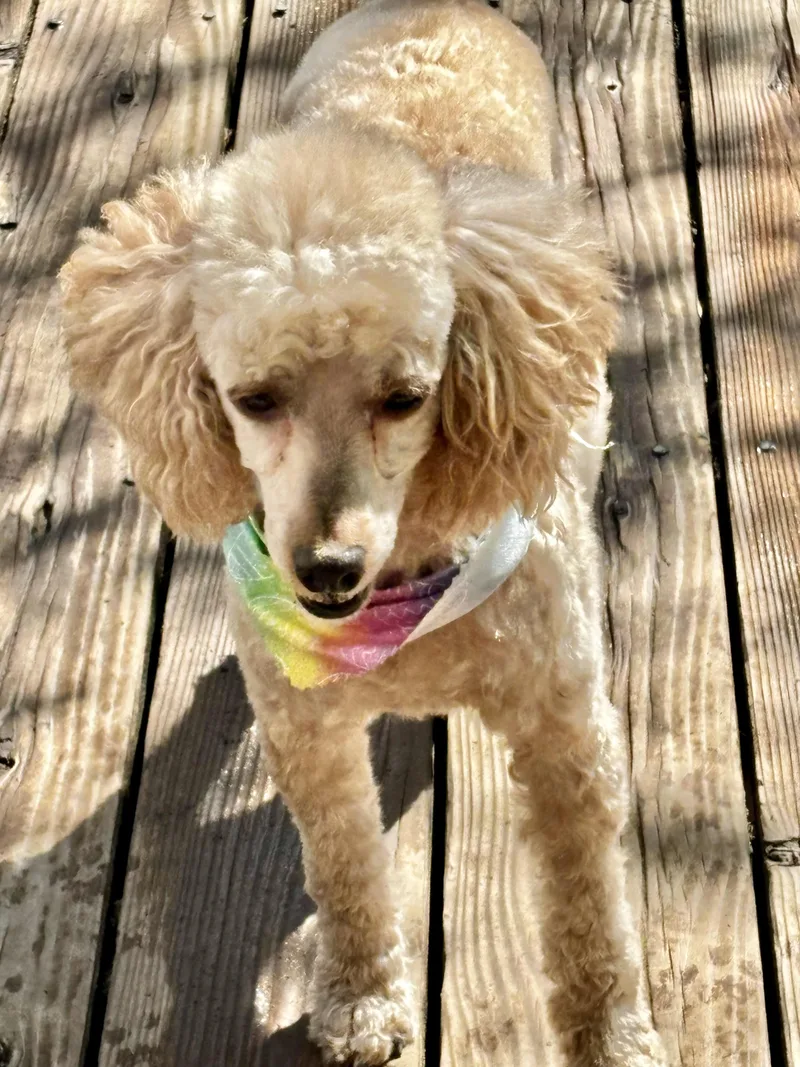 Margaret Miller thumbnail 2