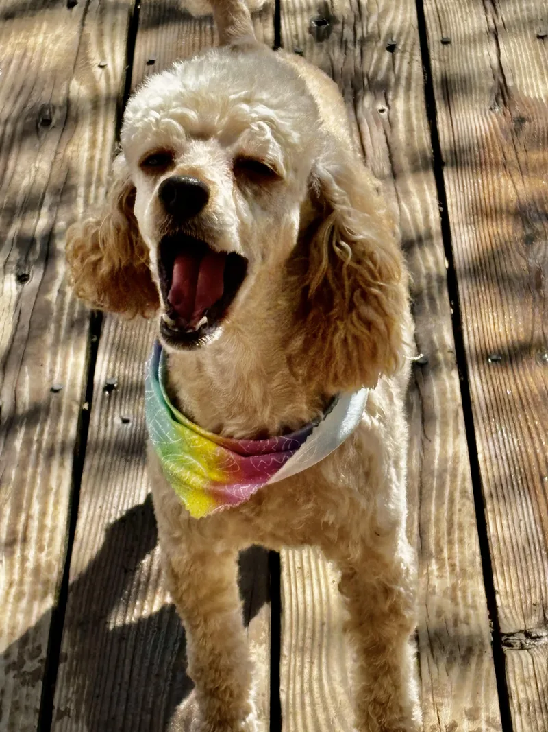 Margaret Miller thumbnail 3