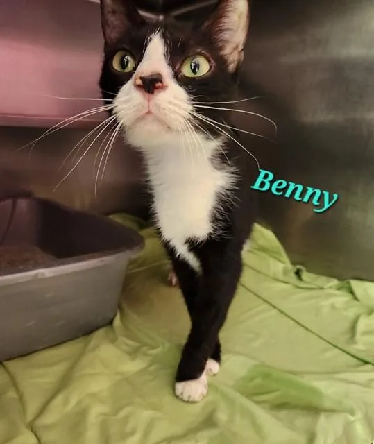 Benny