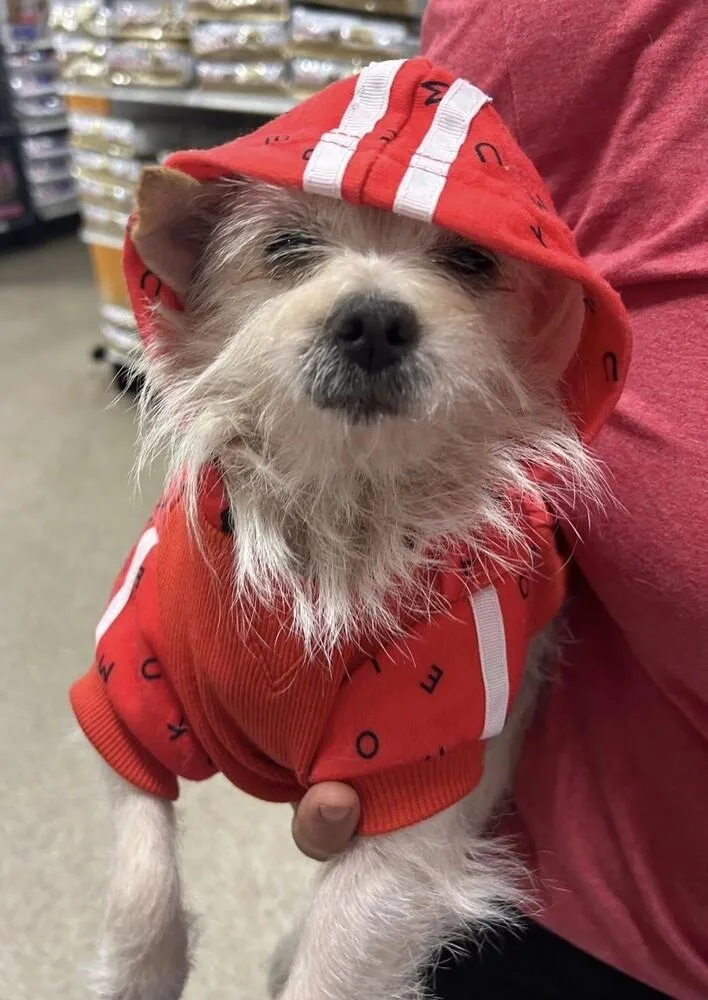 Lulu Lemon thumbnail 2