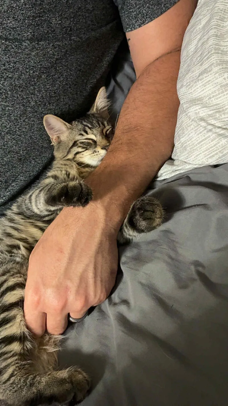 Big Floof thumbnail 2