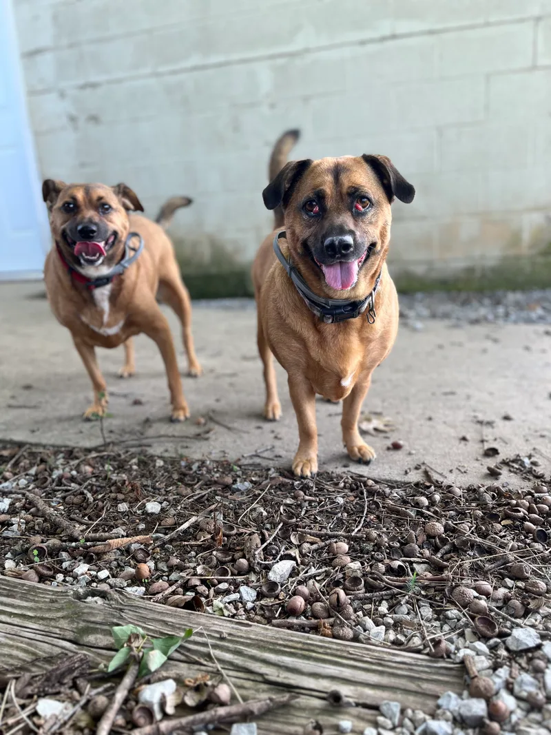 Lizzie & Lacey thumbnail 2