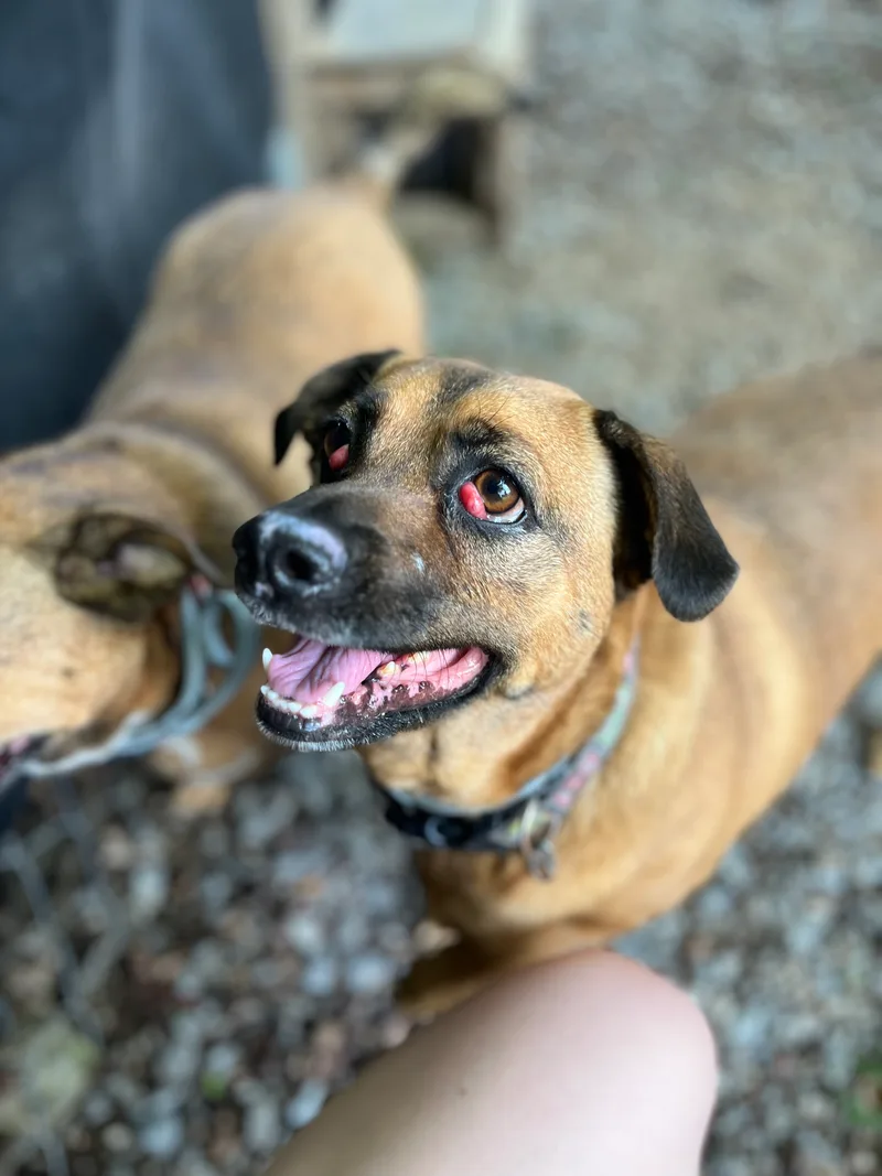 Lizzie & Lacey thumbnail 4