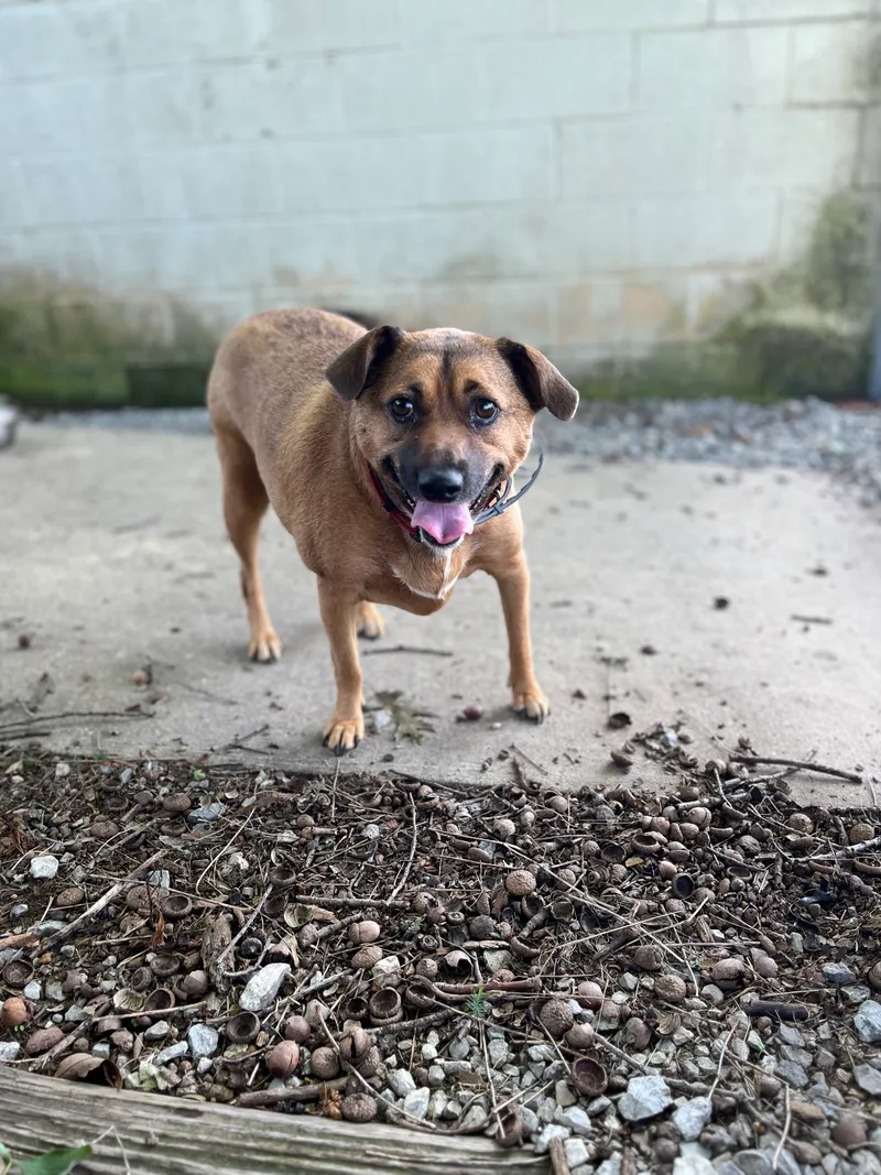 Lizzie & Lacey thumbnail 5