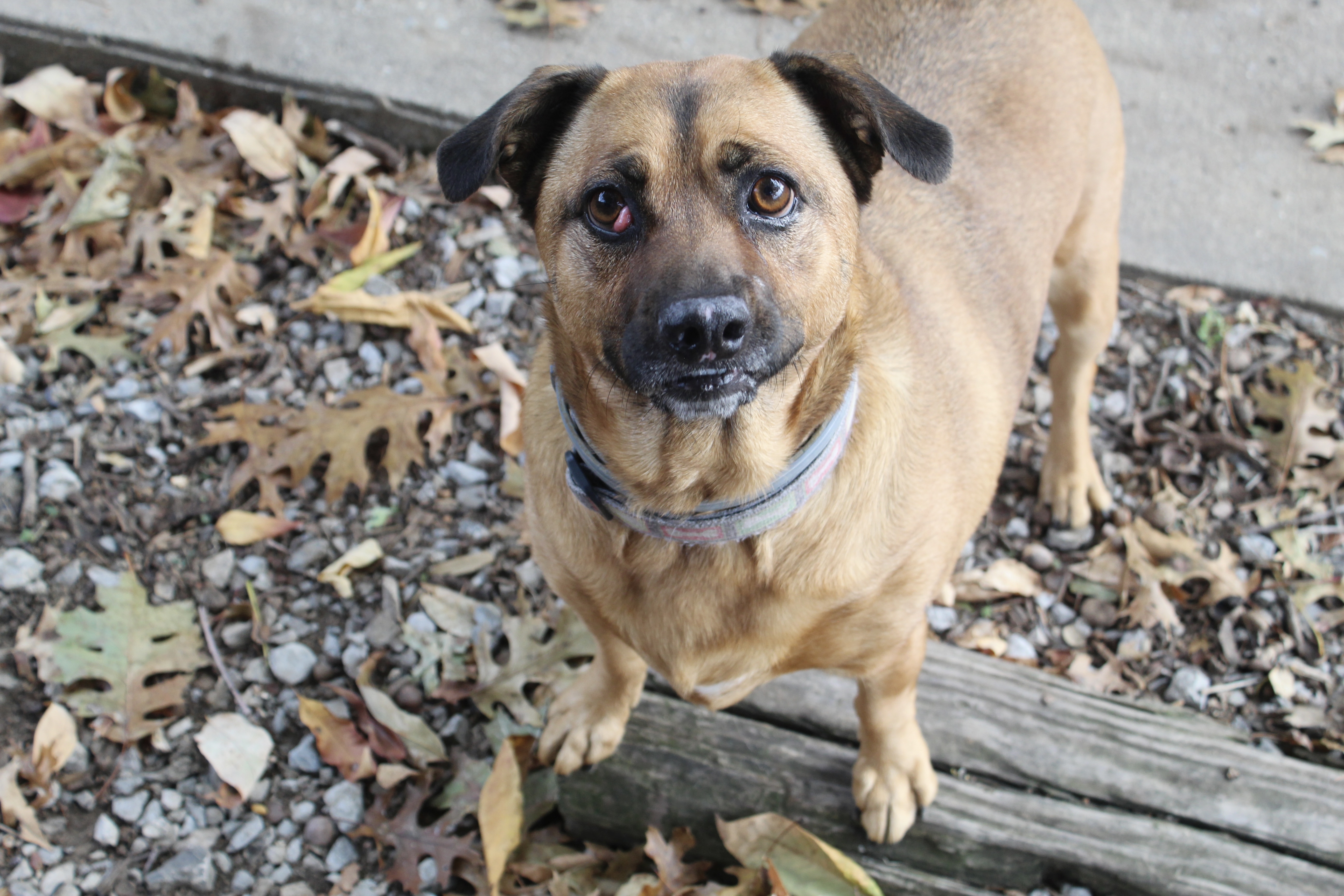 Lizzie & Lacey thumbnail 6