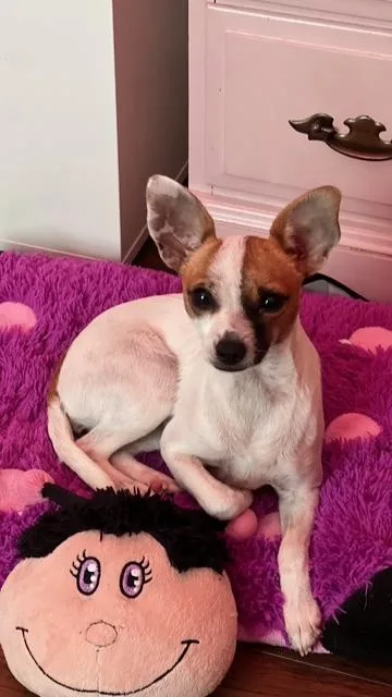 Tinkerbelle thumbnail 3