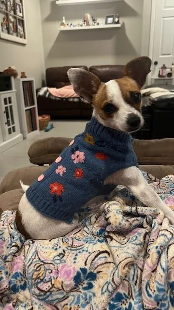 Tinkerbelle thumbnail 5