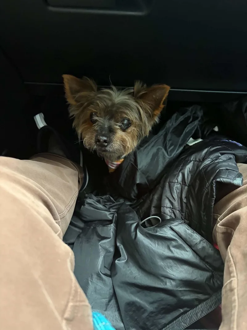 Cocoa thumbnail 2