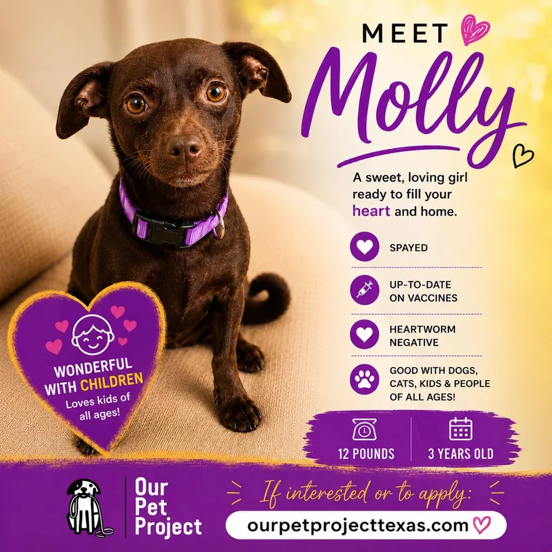 Molly thumbnail 2