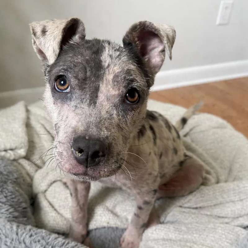 Tillamook thumbnail 2