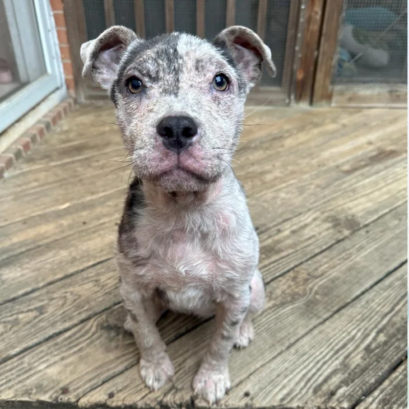 Tillamook thumbnail 3