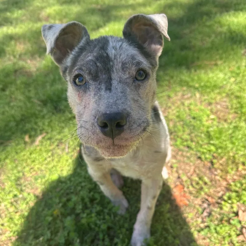 Tillamook thumbnail 4