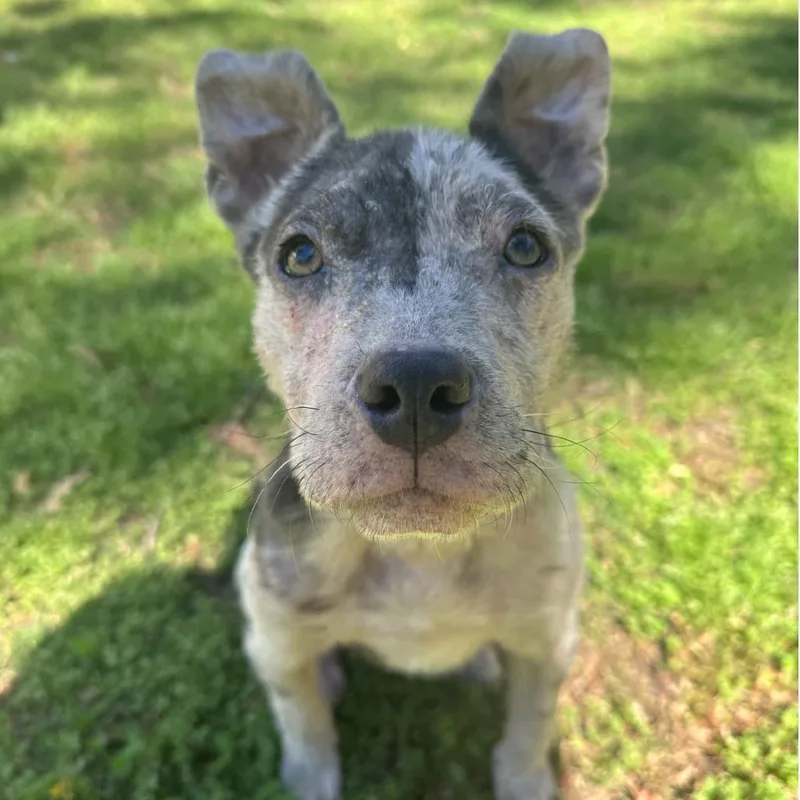 Tillamook thumbnail 5