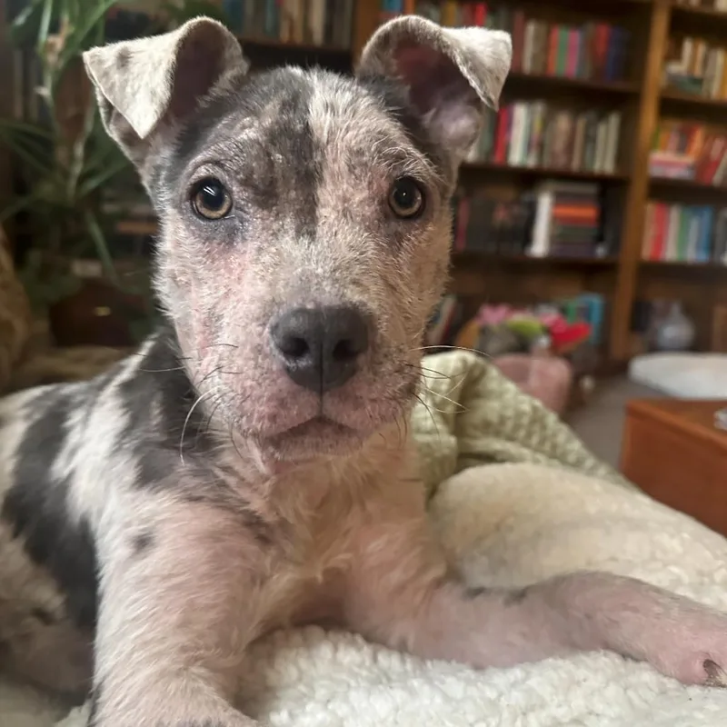 Tillamook thumbnail 6