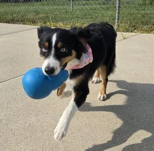 Sophie