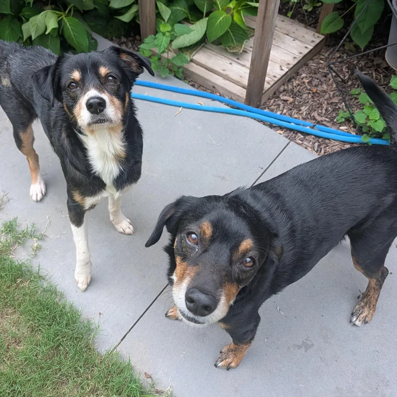 Sprout & Peanut