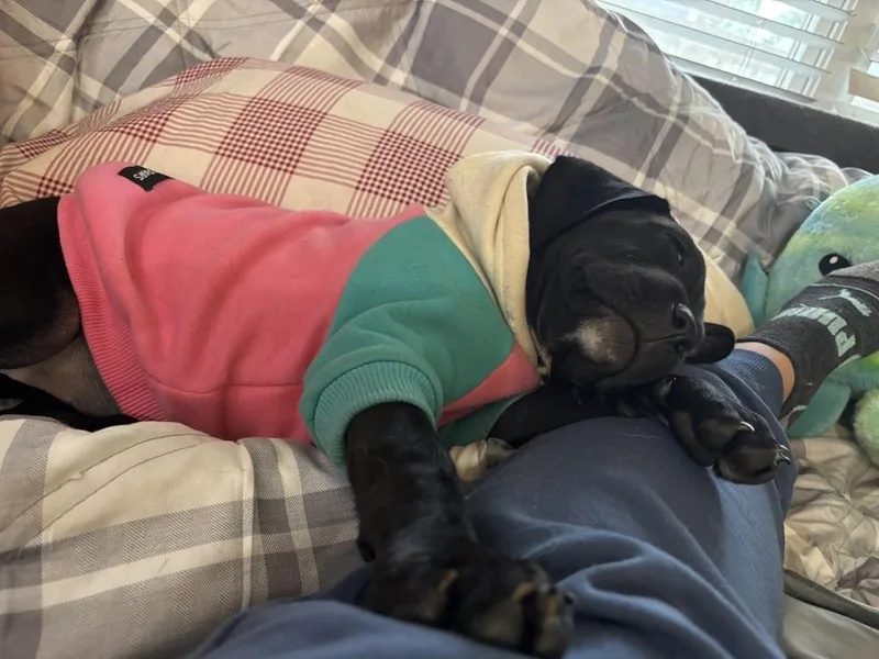 Katie Bug thumbnail 4