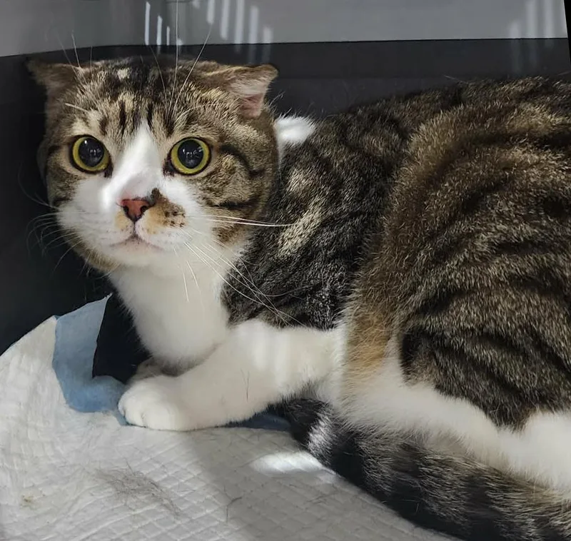 Dustin Is So Darn thumbnail 3