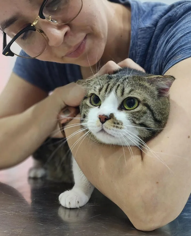 Dustin Is So Darn thumbnail 4