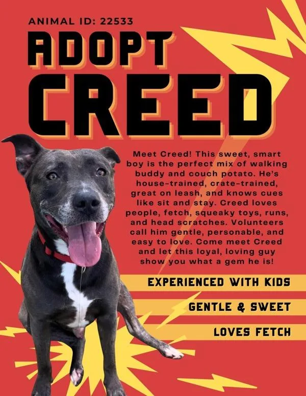 Creed thumbnail 4