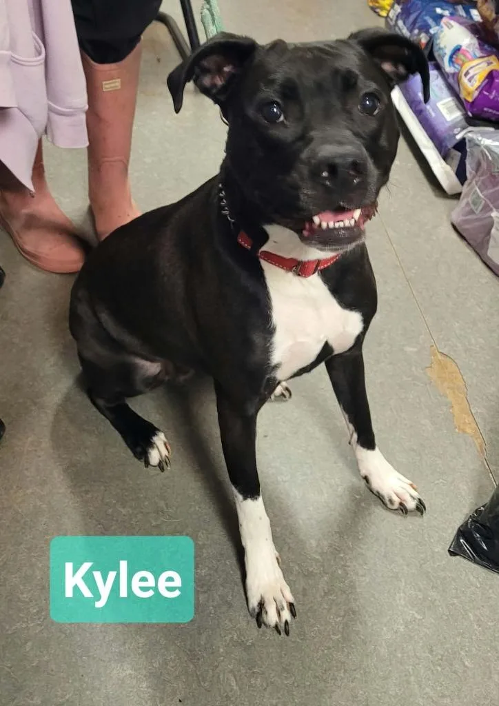 Kylee thumbnail 2