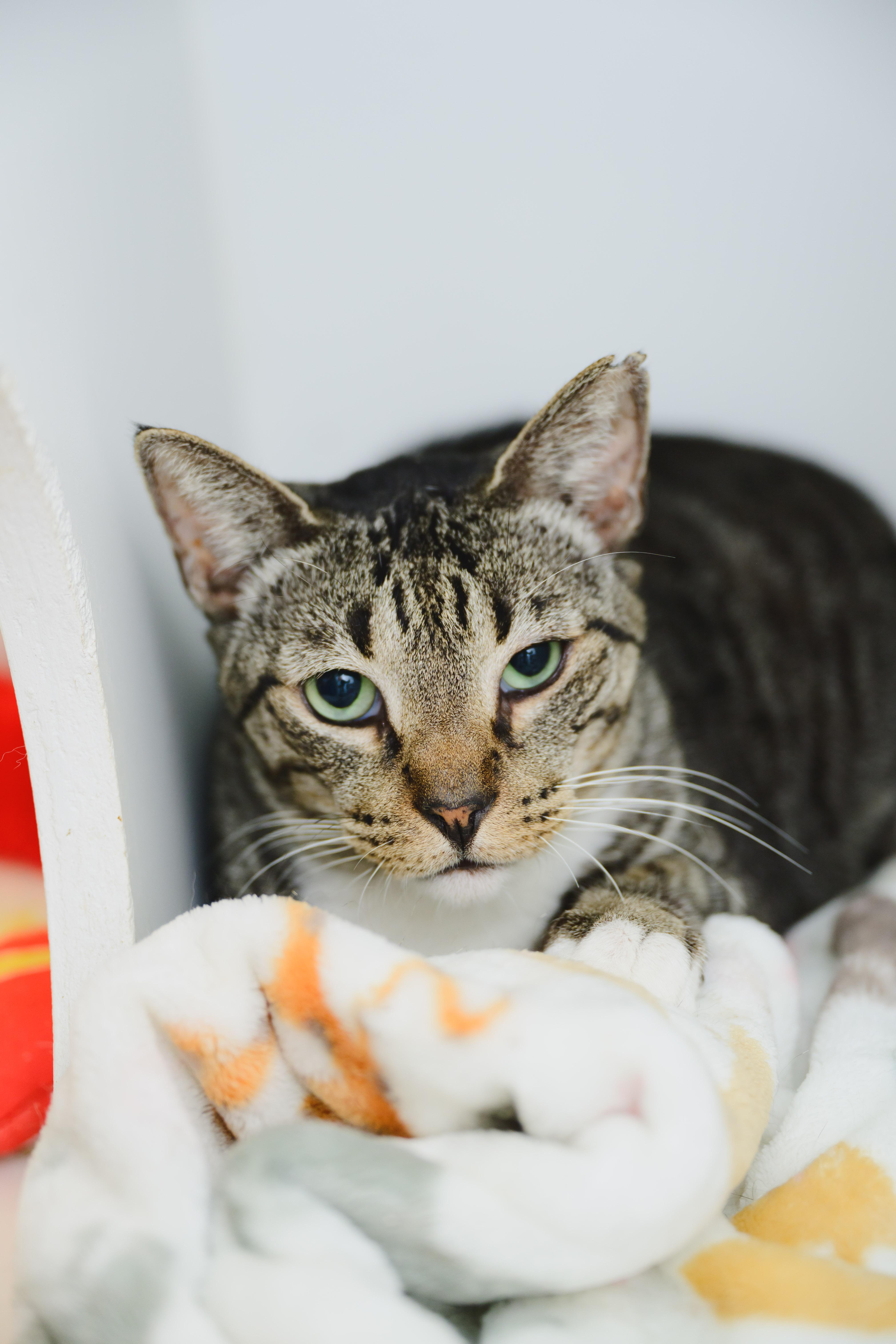 Rollie Pollie thumbnail 2