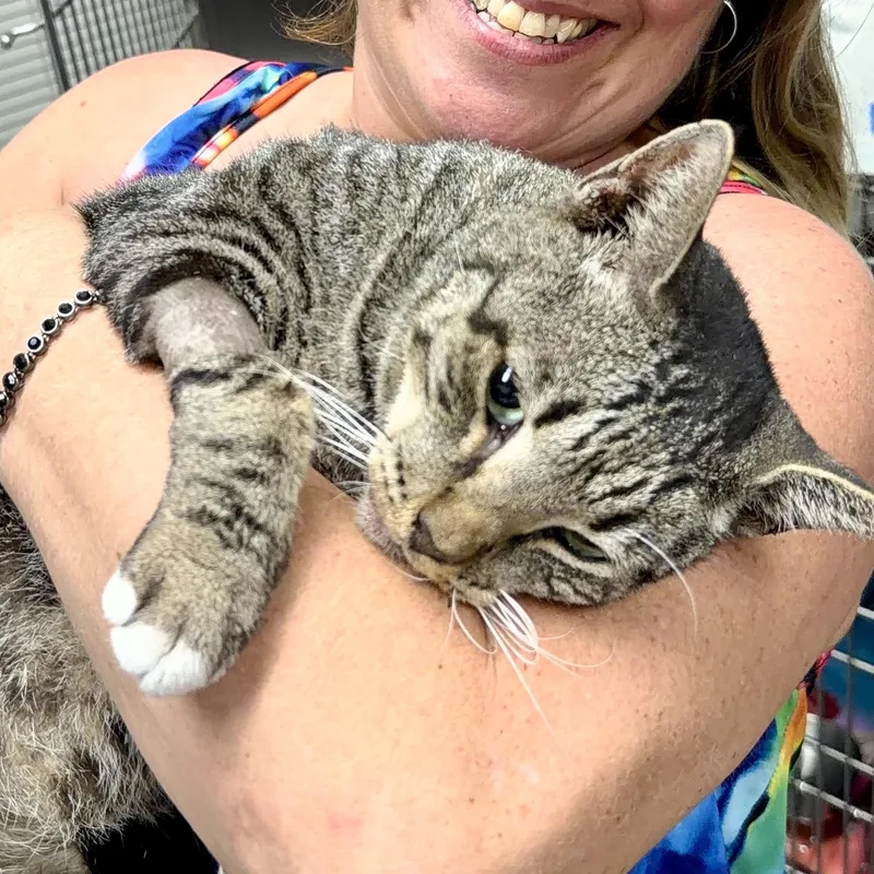 Rollie Pollie thumbnail 5