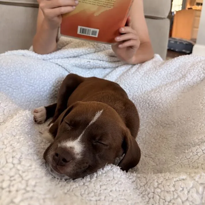 Marshmallow Peep thumbnail 2