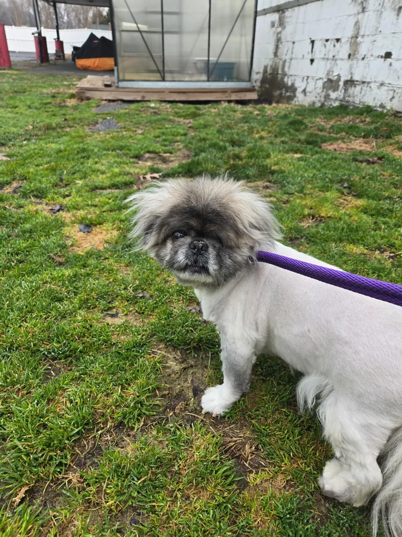 Ricky Bobby thumbnail 2