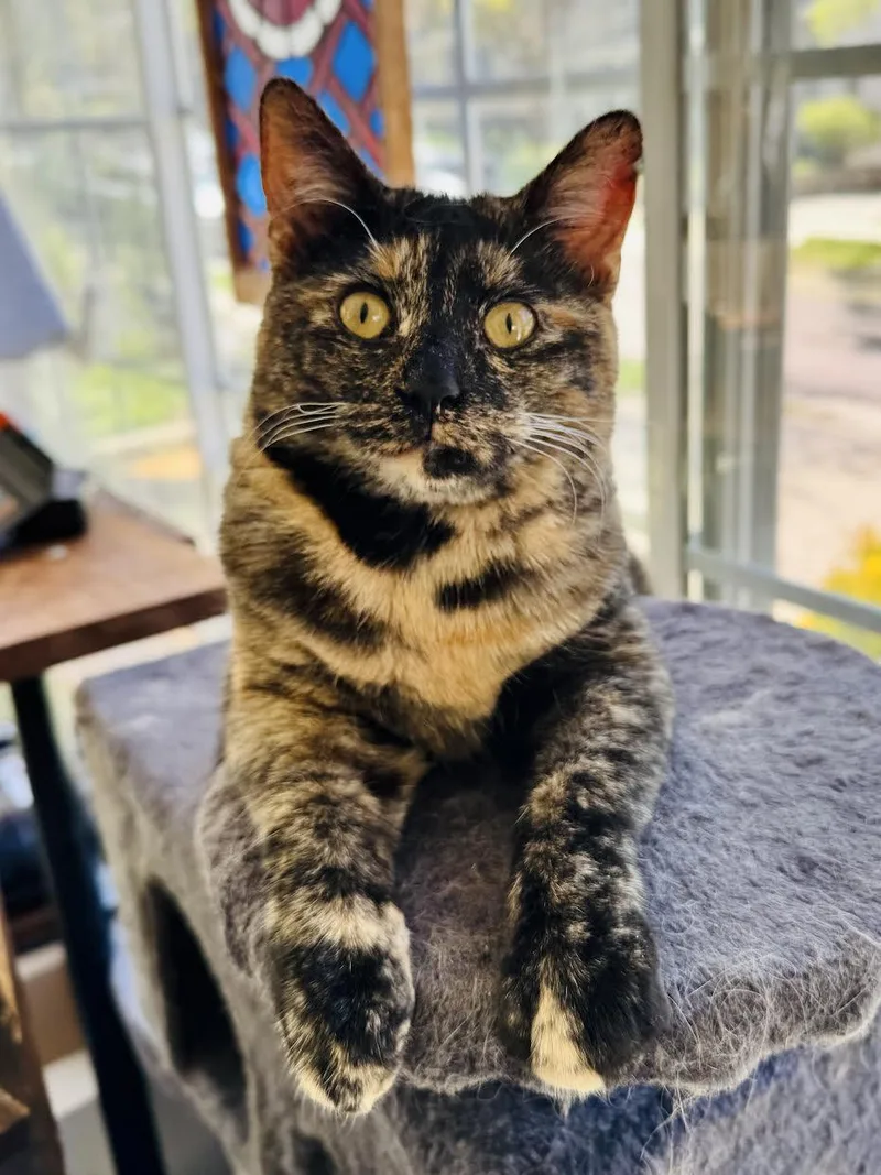 Ruby Lou