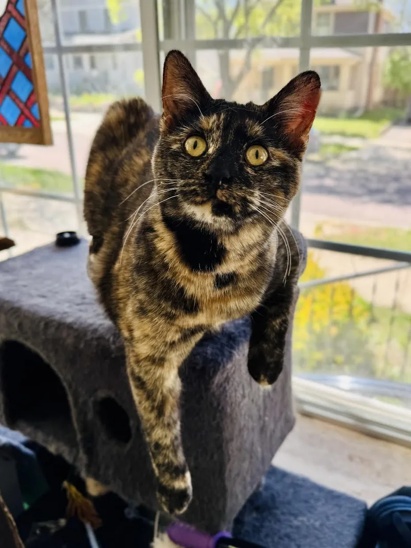 Ruby Lou thumbnail 2