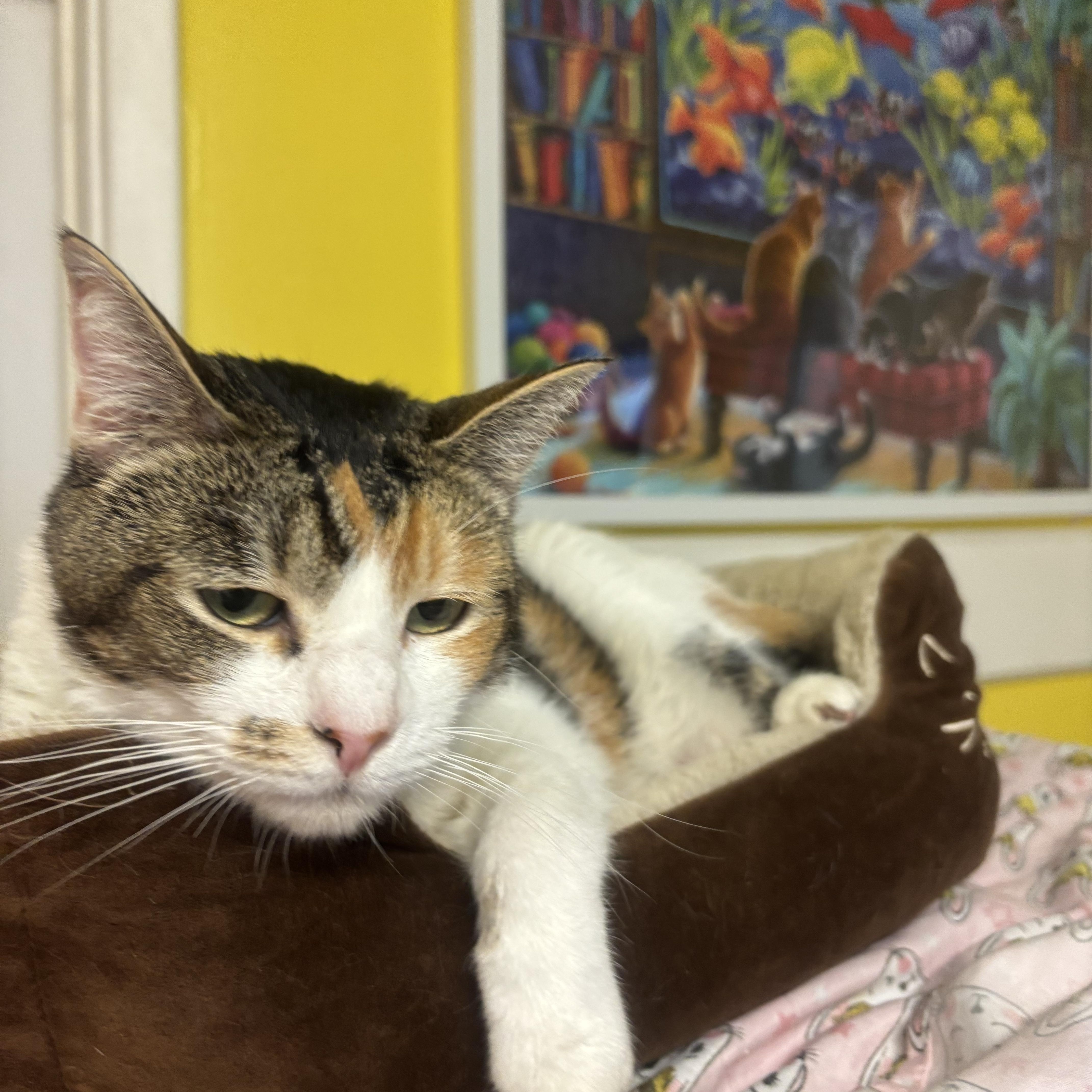 Lulu thumbnail 3